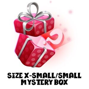 Mystery Box Size X/small/Small,Mix Brands & Seasons